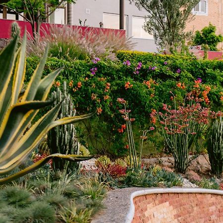 Terra Vista Aparthotel Guanajuato Bagian luar foto