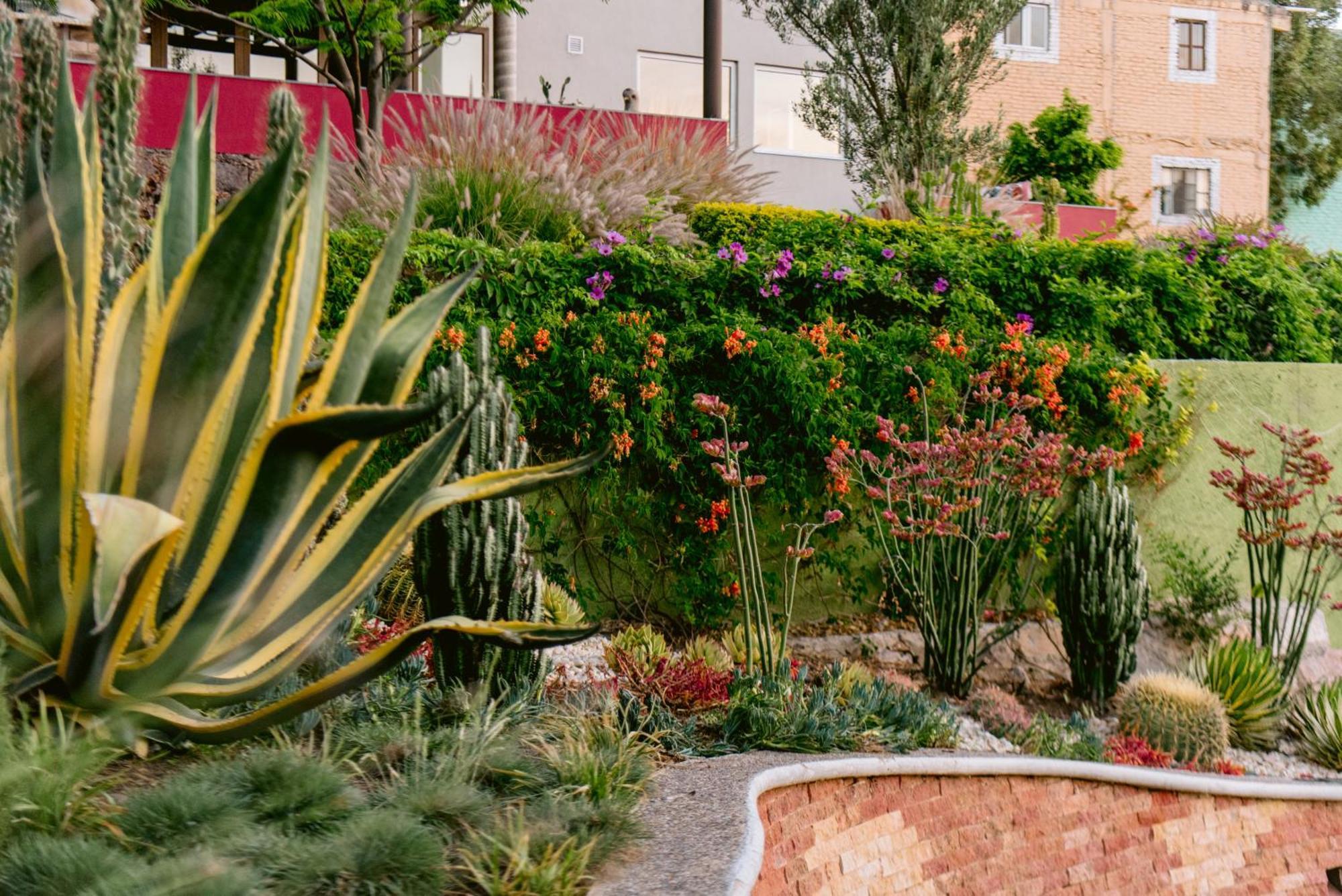 Terra Vista Aparthotel Guanajuato Bagian luar foto